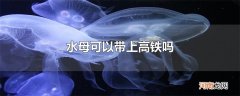 水母可以带上高铁吗