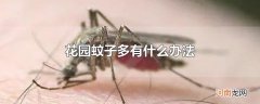花园蚊子多有什么办法