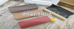眼镜盒的各种款式