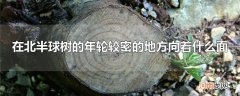 在北半球树的年轮较密的地方向着什么面