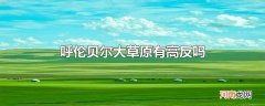 呼伦贝尔大草原有高反吗