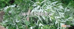 端午节艾草的意义