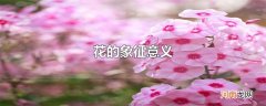 花的象征意义