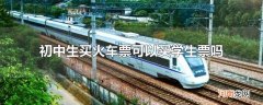 初中生买火车票可以买学生票吗