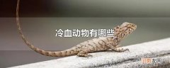 冷血动物有哪些