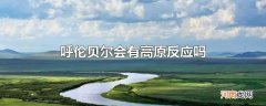 呼伦贝尔会有高原反应吗