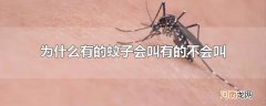 为什么有的蚊子会叫有的不会叫