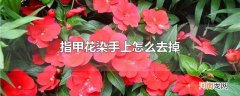 指甲花染手上怎么去掉