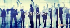 cto是什么职位