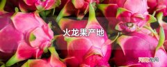 火龙果产地