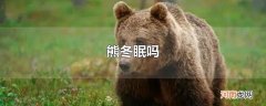 熊冬眠吗