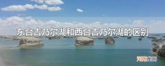 东台吉乃尔湖和西台吉乃尔湖的区别