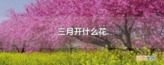 三月开什么花