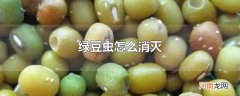 绿豆虫怎么消灭