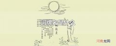 词牌名是什么