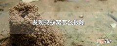 发现蚂蚁窝怎么根除