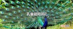 孔雀能吃吗?