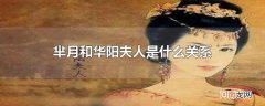 芈月和华阳夫人是什么关系