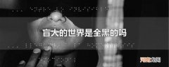 盲人的世界是全黑的吗