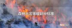 森林火灾等级划分标准