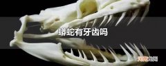 蟒蛇有牙齿吗