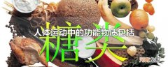 人体运动中的功能物质包括