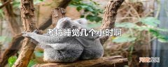 考拉睡觉几个小时啊