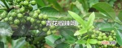 青花椒辣吗
