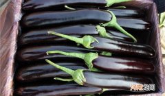 纤维素多的食物有哪些 十大高纤维食物排行榜