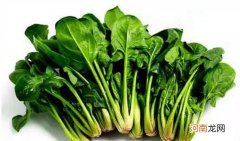 补锌的食物有哪些 十大补锌食物排行榜