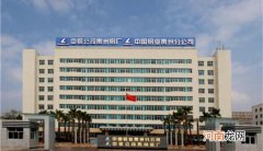 中国十大电解铝企业排行榜