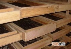 芦花板真的无甲醛吗？