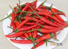 怎么挑选小米椒