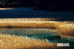 四川省 九界沟在哪个省 它是九寨沟的一部分