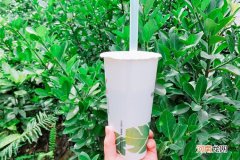 福州奶茶加盟店排行榜有哪些