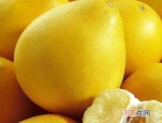 柚子可以和牛奶同食吗 牛奶可以和什么东西一起食用