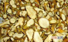 桑寄生什么人不能吃 桑寄生的食用禁忌有哪些