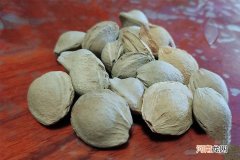 开口杏仁是什么?一起来了解它的价值及功效