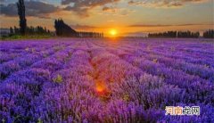 盘点国内十大旅游排行榜，5-6月不去长白山可惜