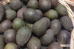 鳄梨是什么 ，可以吃吗，该怎么吃呢？