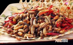 蜂蛹怎么保存不会坏？蜂蛹有几种比较好的保存方法