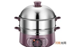 值得购买的电蒸锅品牌 这些很有名气