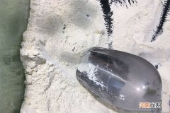 和面面粉和水的比例是多少，其他材料需要放多少？