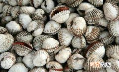 泥蚶是什么东西？吃泥蚶的时候怎么处理比较干净