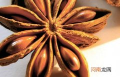八角与什么相克 食用八角的有哪些禁忌要注意