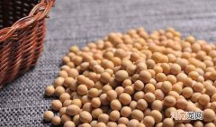 ?滋阴的食物有哪些 女人滋阴的10种食物