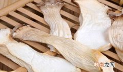 干杏鲍菇要泡多少时间 干杏鲍菇的做法有哪些