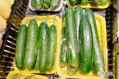 小青瓜是黄瓜吗？二者营养成分有什么区别呢？