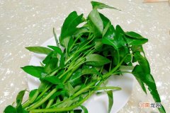 青菜的英文是什么