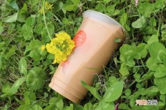 便宜点的奶茶加盟店推荐